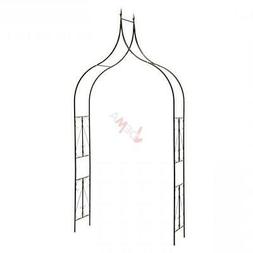 Meran Pour Rosier Plantes Grimpantes Vigne D14240
