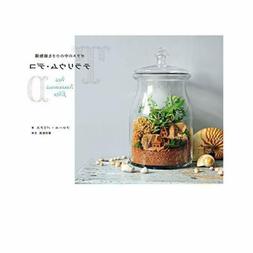 Dans Le Terrarium D&eacute;co Verre