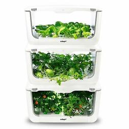 Hydroponique D'int&eacute;rieur - Potager D'int&eacute;rieur