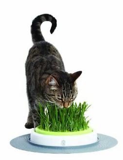D'herbe &agrave; Chat