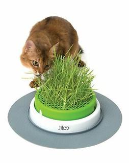 D'herbe Pour Chat D'int&eacute;rieur Aide &agrave; La Digestion Bienfait