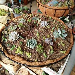 Suspendu Pot De Fleurs Plantier R&eacute;cipient Ext&eacute;rieur Coco C