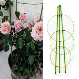 Treillis Plantes Grimpantes Support Cage Pour Poivron Auberg