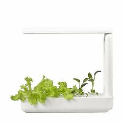 Hydroponique D'int&eacute;rieur - Potager D'int&eacute;rieur