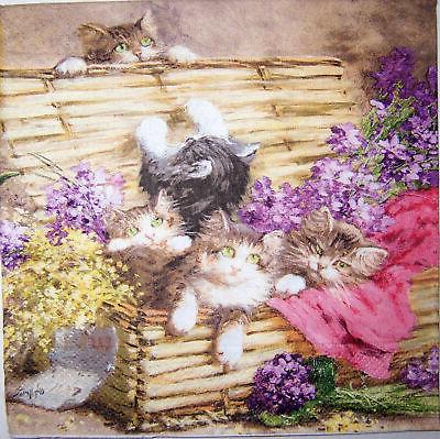 10 serviettes en papier chats dans une