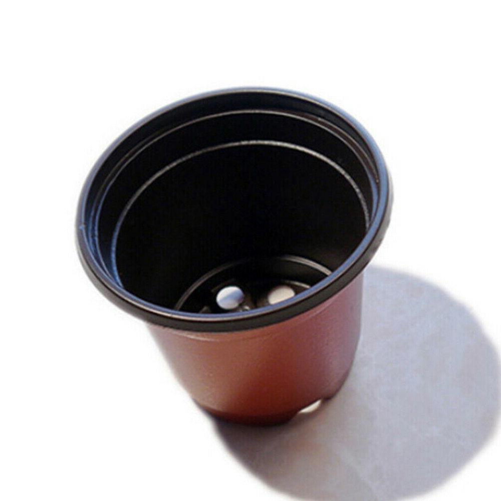 100pcs pots de demarrage conteneur de semis