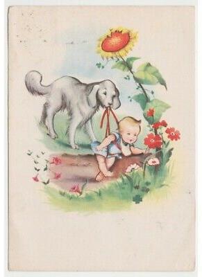 1958 printemps jardin fleurs tournesol carte postale