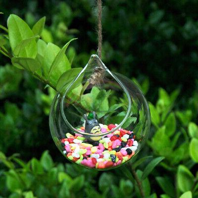 boule vase en verre transparent decoration jardin
