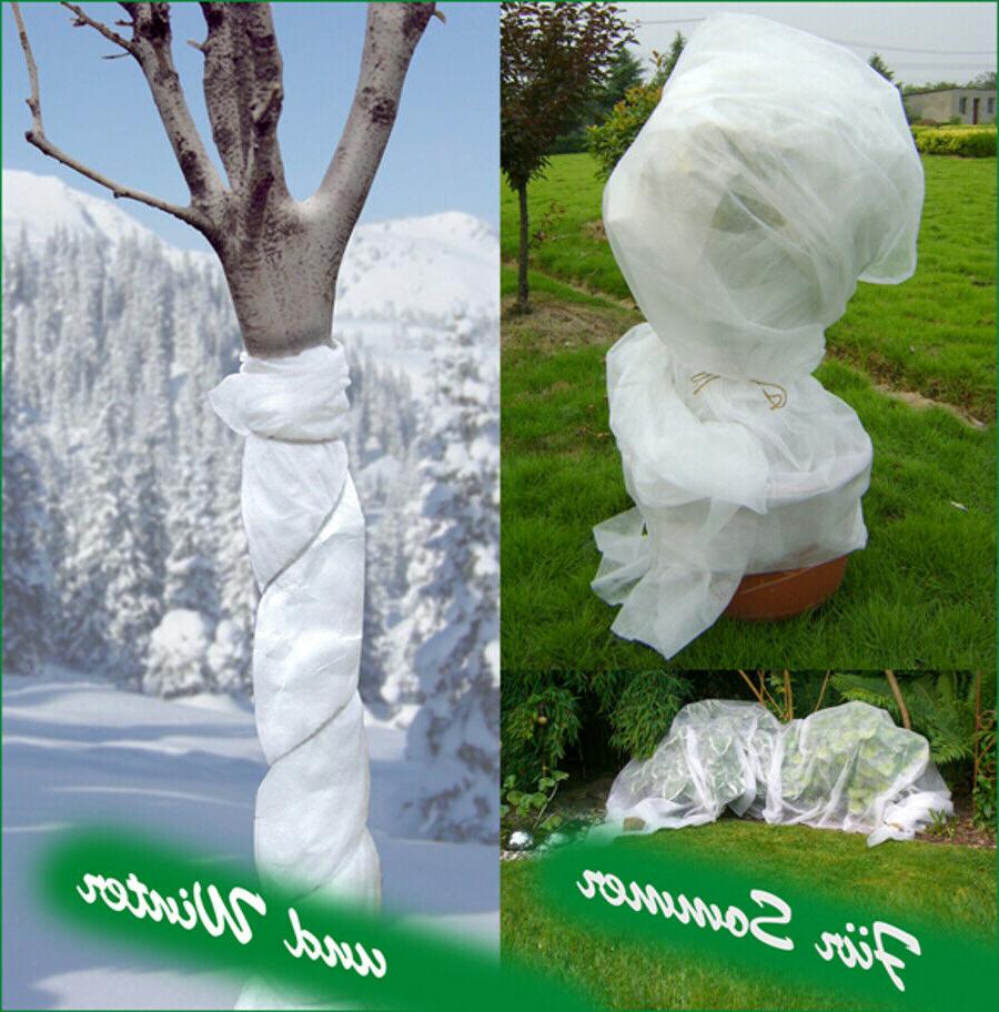 fleece d hiver voile de jardin plantes