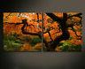 Mur Toile Image Images Jaune Orange Rouge Japon Jardin Xxl D