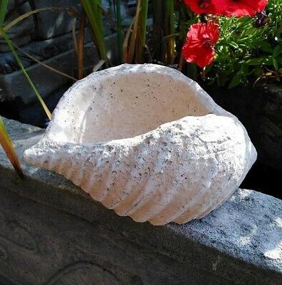 jardin bac a plantes coquillages soucoupe decorative