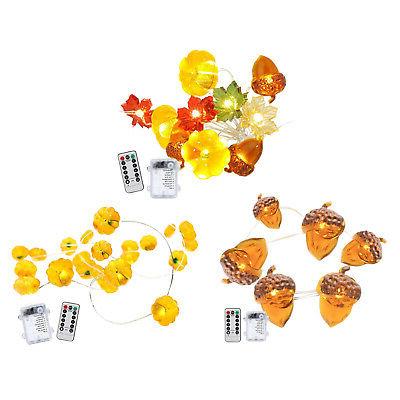 jardin interieur exterieur feux 8 modes d