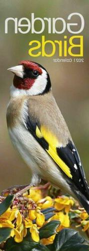 Oiseaux 2021 Calendrier Slim 15% Off Multi Commandes