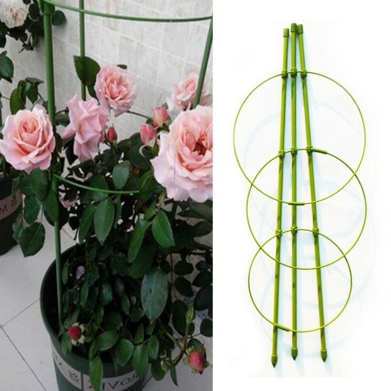 jardin treillis plantes grimpantes support cage pour