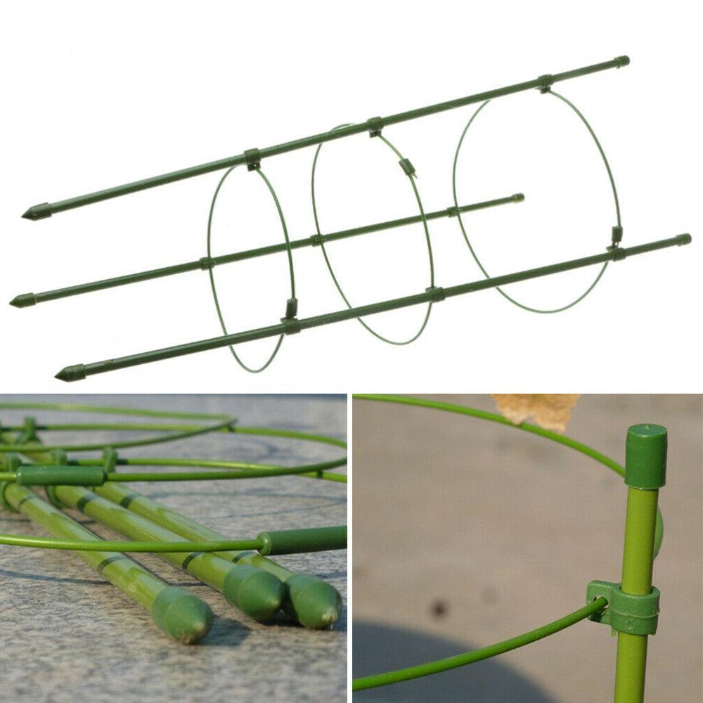 jardin treillis plantes grimpantes support de cage