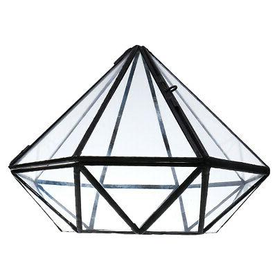 jardiniere succulente de table terrarium en verre