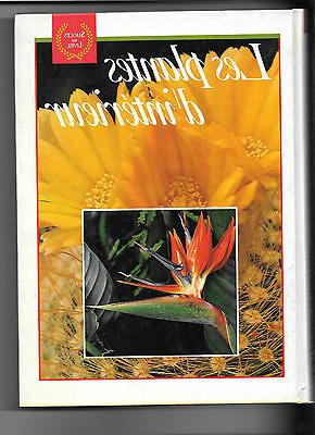 les plantes d interieur succes du livre