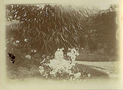 photo ancienne vintage snapshot enfant fleurs jardin
