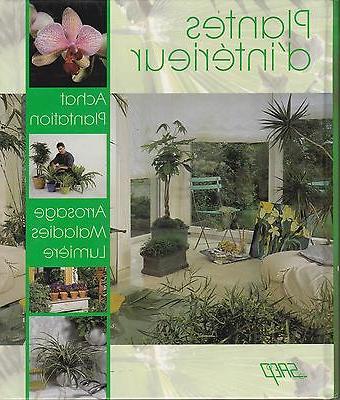 plantes d interieur achat plantation arrosage maladies