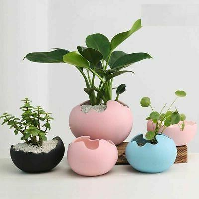 pot de fleur decoratif bureau plantation jardin