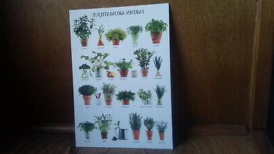 pub jardin aromatique s48 20