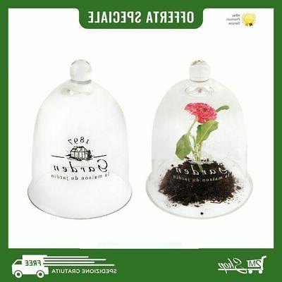serre pour plantes vegetales fleurs jardin verre