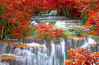 superbe japonais jardin chute zen toile 382