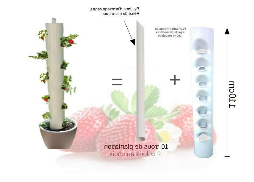 tour de jardinage fraises fleurs legumes pot