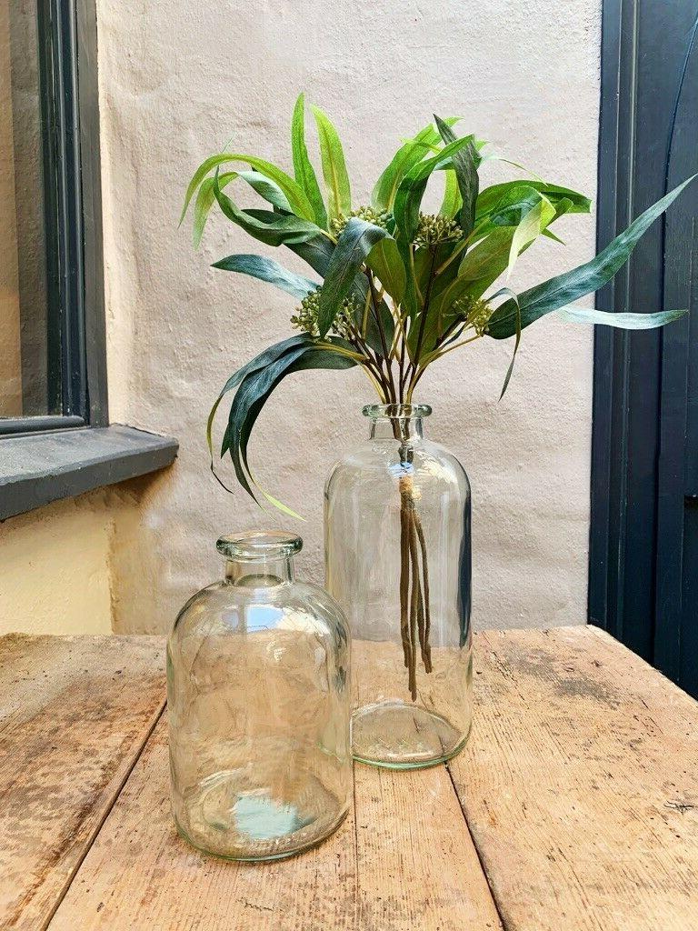 verre transparent jardin bouteille tige vase botanique