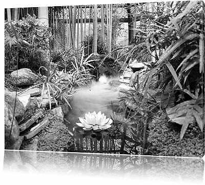 zen jardin japon art b and w
