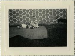 Graphisme Chien - Child