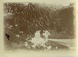 Gag Blague Dr&Ocirc;le-flowers